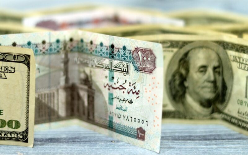 استقرار سعر الدولار مقابل الجنيه المصري 10 مارس 2025 وفقا للآخر تحديث صادر للقطاعات المصرفية