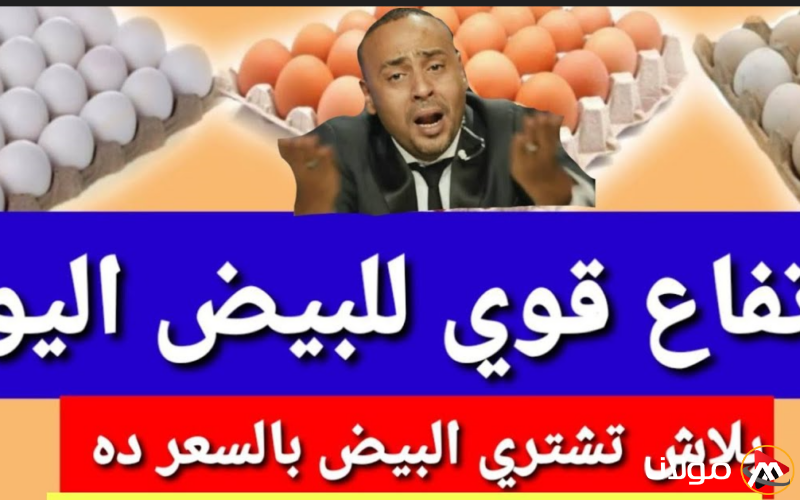 ارتفاع اسعار الدواجن | سعر كرتونة البيض اليوم للمستهلك في الاسواق المصرية