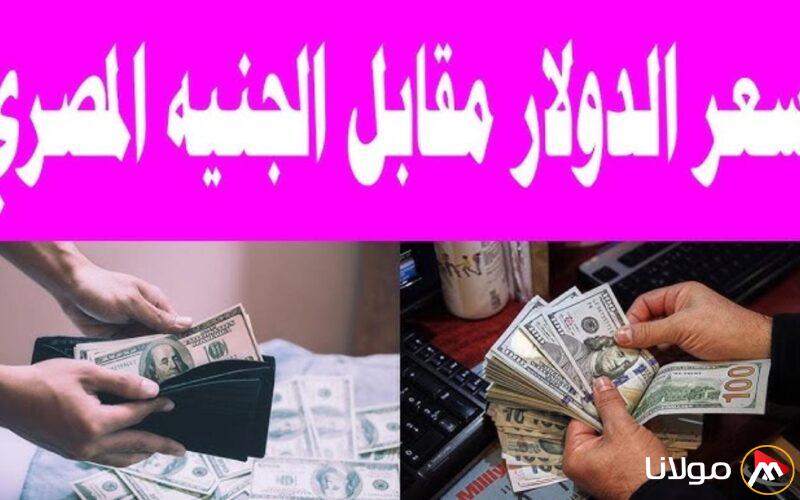 سعر الدولار مقابل الجنيه المصري في السوق السوداء اليوم الاثنين 10-3-2025 (آخر تحديث)