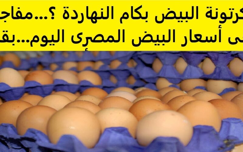 البيضة كم سعرها؟.. سعر البيض اليوم الاثنين 10-3-2025 جملة وقطاعي في بورصة الدواجن