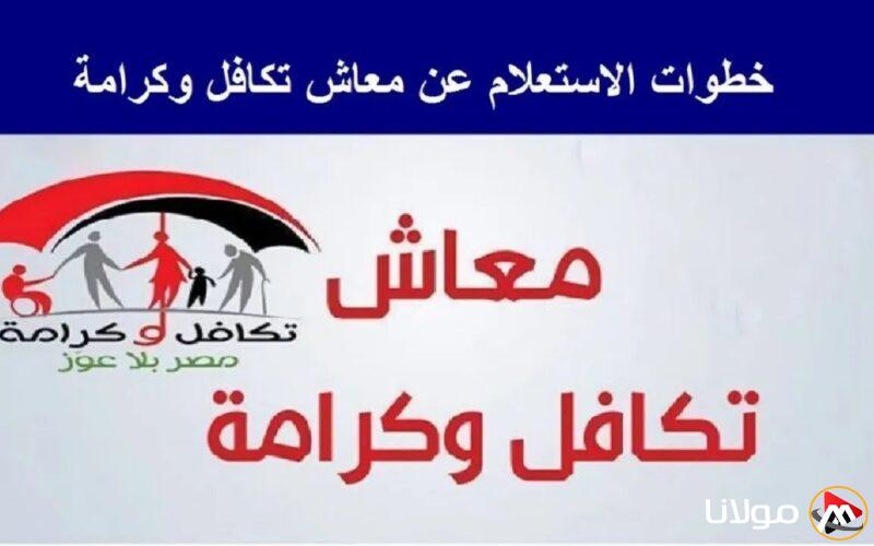 لينك الاستعلام عن الأسماء الجدد في تكافل وكرامة 2025 بالرقم القومي عبر tk.moss.gov.eg