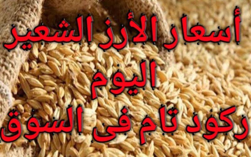 إستقرار اسعار الارز الشعير اليوم الإثنين 10-3-2025 في كافة الأسواق