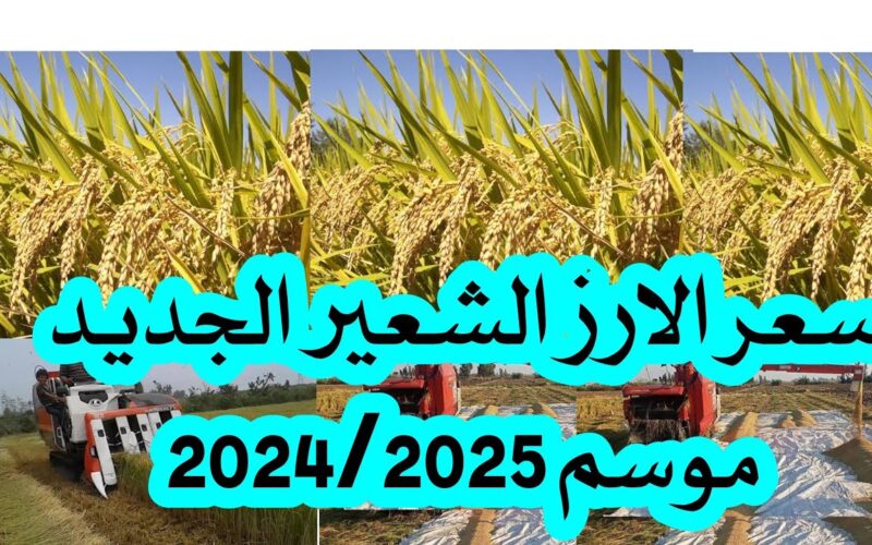 طن الأرز الشعير بكام؟ | سعر طن الارز الشعير (عريض – رفيع الحبة) الإثنين 10 مارس 2025 للمستهلك بالاسواق التجارية