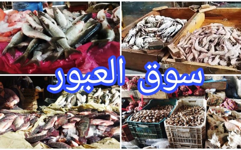 اسعار السمك اليوم في سوق العبور الإثنين 10 مارس 2025 | إرتفاع جديد للبلطي