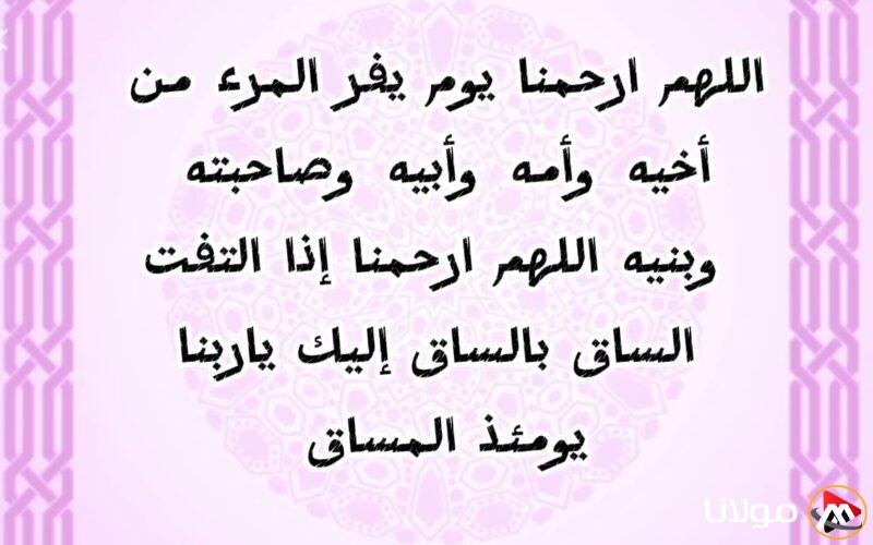 دعاء تراويح اليوم العاشر من رمضان.. “اللهم اجعل خير أيامي يوم ألقاك، وخير عملي آخره، وخير عمري خواتمه.”
