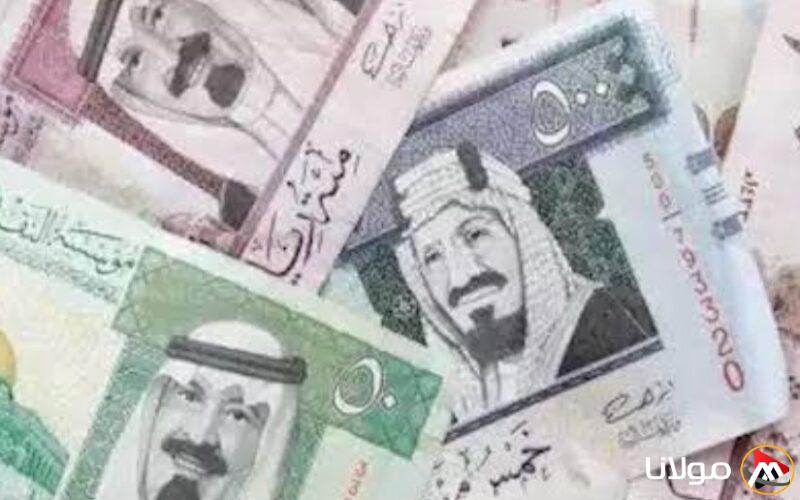 السعودي بكام؟… سعر الريال السعودي مقابل الجنيه المصري اليوم الثلاثاء 25 مارس 2025 وفقا لآخر حديثات البنوك