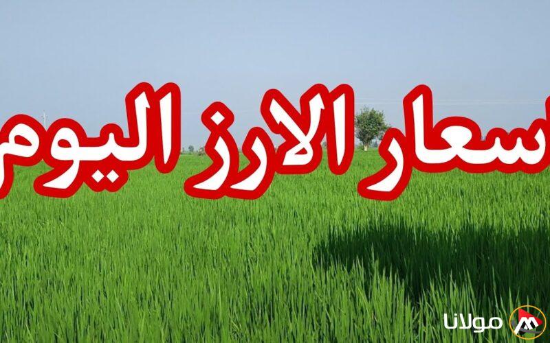 “علي كام الطن النهاردة” سعر طن الأرز الشعير اليوم الاثنين 17 مارس 2025 في الأسواق المصرية