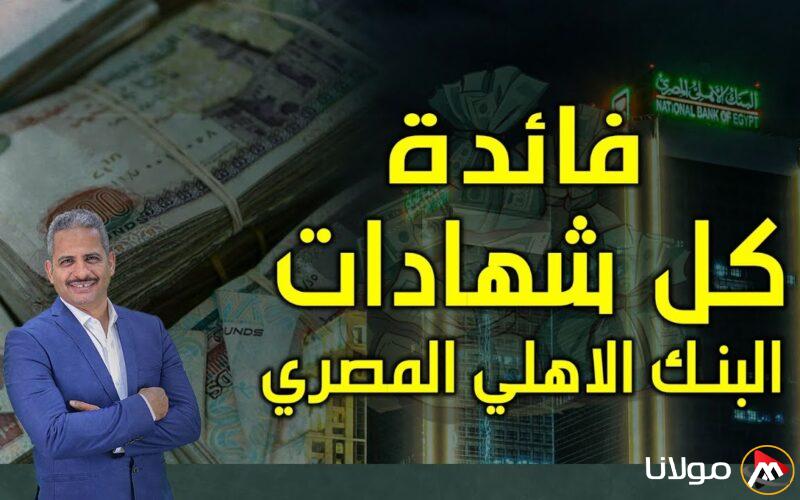 “استثمر بعائد 30%”.. شهادات البنك الأهلي المصري 2025 بالعملات المحلية لو معاك 100 الف تاخد 30 الف سنوياً