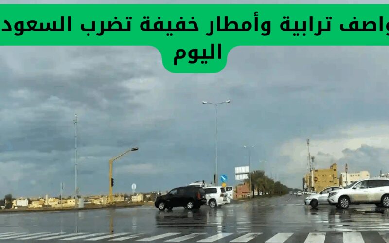 عواصف رملية وهطول أمطار خفيفة تؤثر على السعودية اليوم! توقعات الطقس في مناطق متعددة بالمملكة