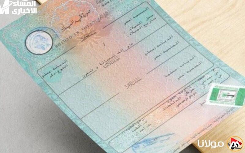 احصل على شهادتك الرقمية للميلاد بسهولة وبنقرة واحدة – إصدار إلكتروني بدون ورق!