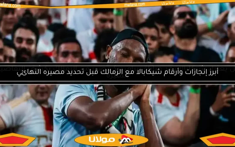 أبرز إنجازات وأرقام شيكابالا مع الزمالك قبل تحديد مصيره النهائي