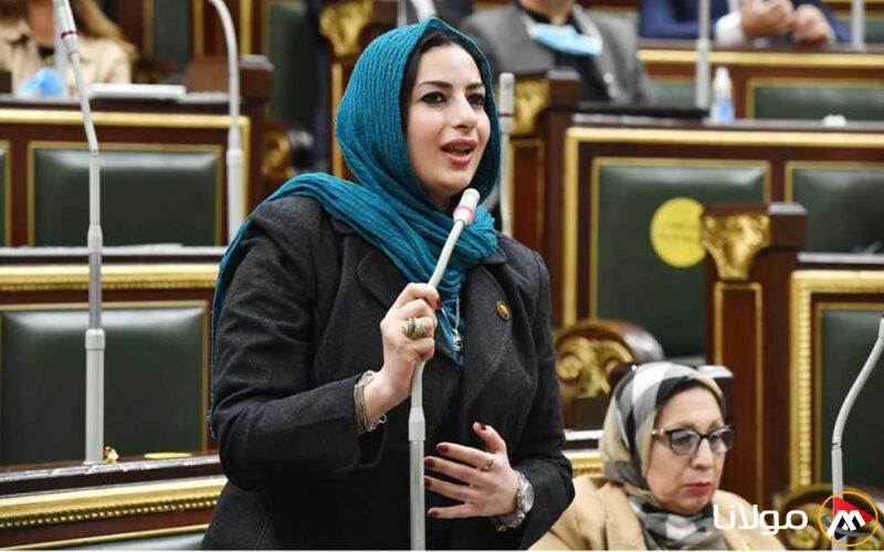 “لوقف تبرعات زائفة”… اقتراح برلماني لإنشاء هيئة وطنية لإدارة النشاط الخيري والإعلامي