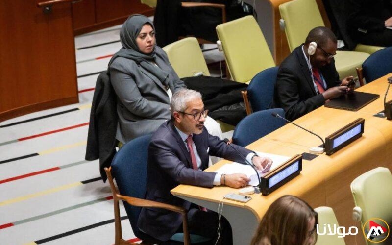 الإمارات تؤكد على ضرورة تعزيز عضوية فلسطين الكاملة في الأمم المتحدة.