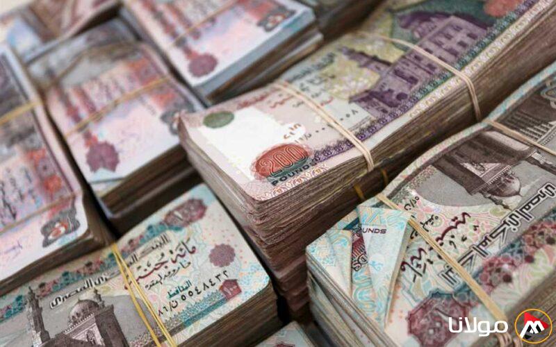 رسميًا.. موعد صرف معاشات مايو 2025 بعد قرار هيئة التأمينات الاجتماعية (احسب مستحقاتك)