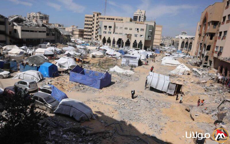 مصر: نرفض التهجير.. واتفاق غزة هو الطريق لتحرير الأسرى