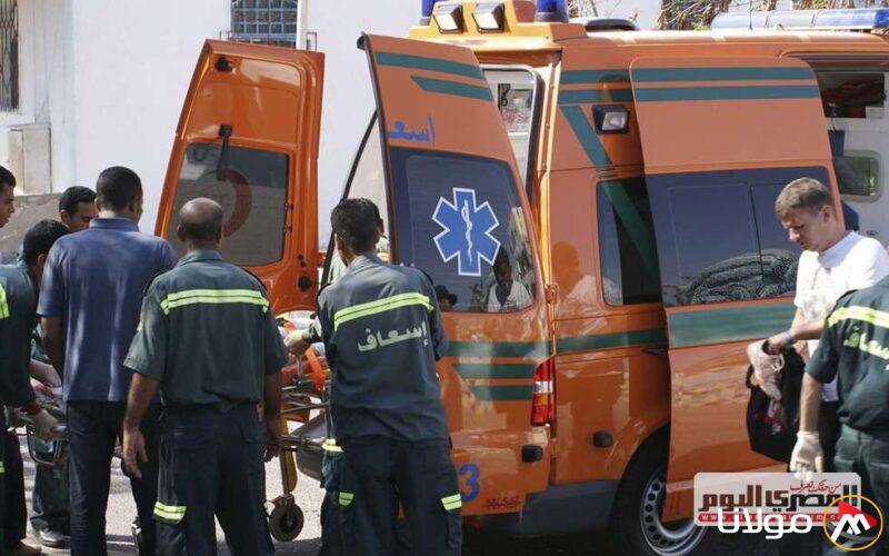 «بوابة مولانا» تكشف عن قائمة بأسماء ضحايا حادث التصادم على طريق «إدفو-مرسى علم» في أسوان