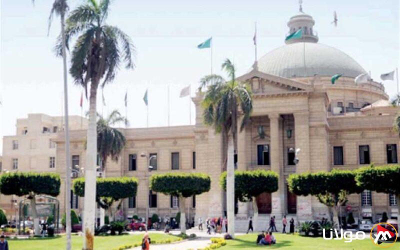 رئيس جامعة القاهرة يعين 33 قيادة جديدة بينهم 15 مديرا ونائبا لمراكز متخصصة