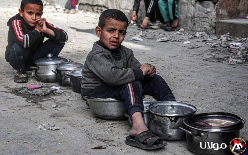 فلسطينيون في غزة يتجهون إلى استهلاك لحم السلاحف خلال أزمة غذائية