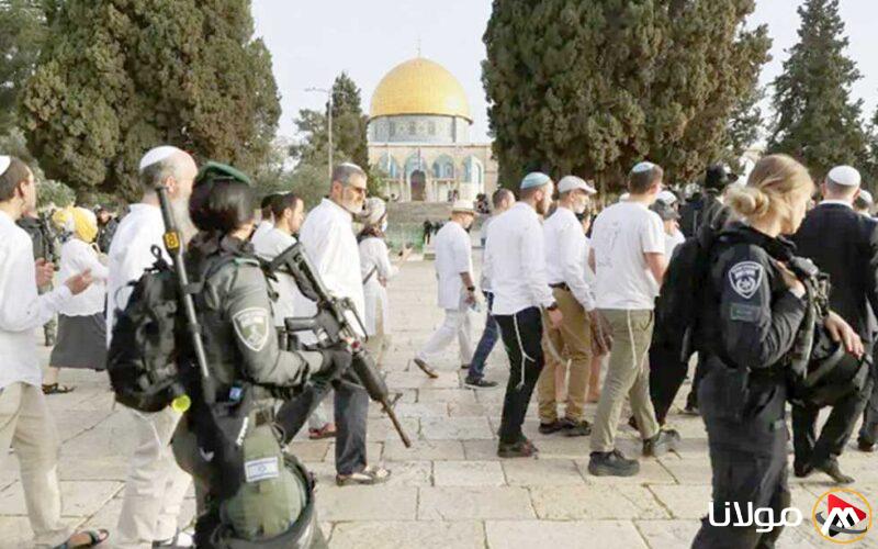 تحت حماية قوات الاحتلال، مستوطنون يهاجمون المسجد الأقصى