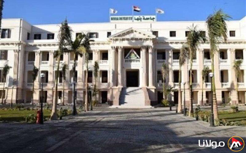 جامعة بنها تكشف عن فرص دراسية في تركيا لطلاب الدراسات العليا بالتخصصات المختلفة