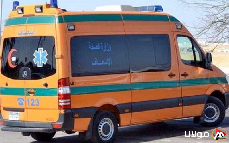 «شجار بين عمال ينهي حياة طالب ويصيب آخر في كفر الدوار»
