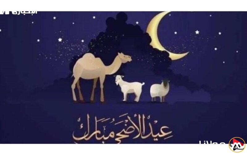 إجازة عيد الأضحى 2025.. أطول إجازة رسمية للموظفين في السنة ستجعل عطلتك مميزة!