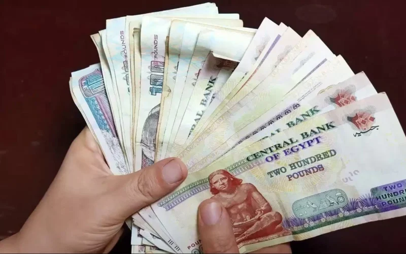 جدول المرتبات 2025 يبعث السعادة في قلوب الموظفين مع زيادة الأجور المنتظرة