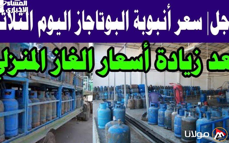 سعر أنبوبة البوتاجاز اليوم الثلاثاء في الأسواق وما تحتاج لمعرفته عنه