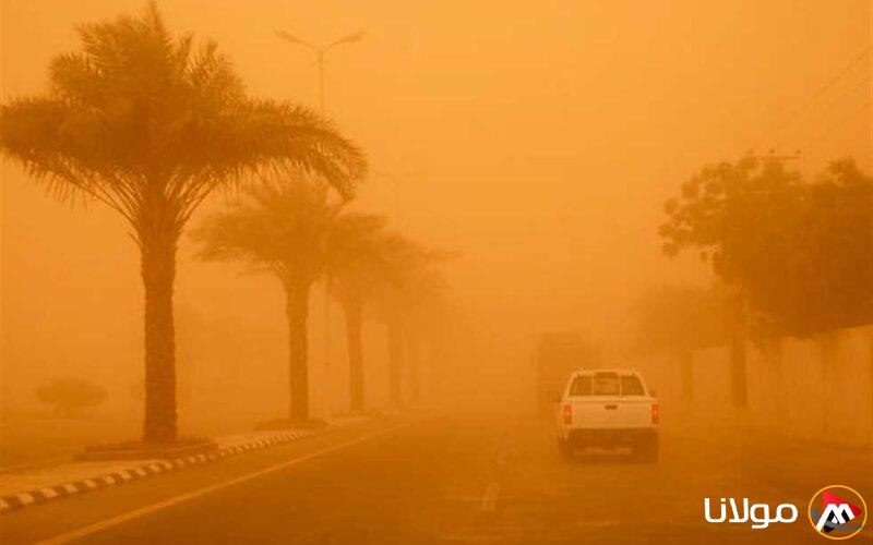 استعدادات الوادي الجديد لمواجهة موجة الطقس السيئ بعد الهدوء الذي يسبق العاصفة