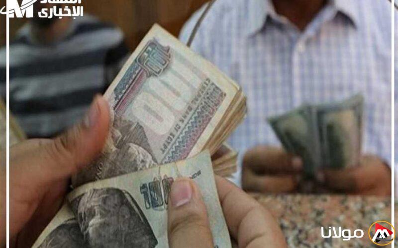 جدول المرتبات 2025: فرحة الموظفين تبدأ منذ اللحظة الأولى!