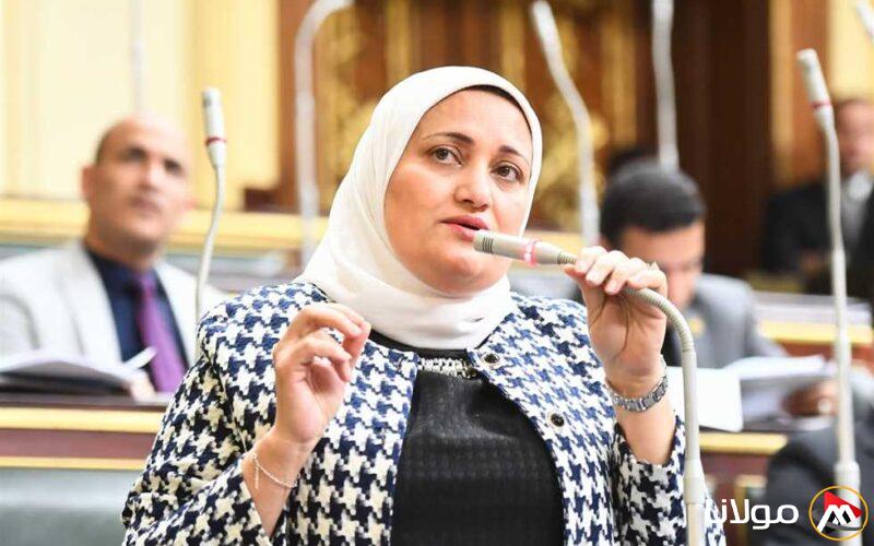 استفسار برلماني للكشف عن أسباب “عدم شغل 117 وظيفة في مستشفيات جامعة الإسكندرية”