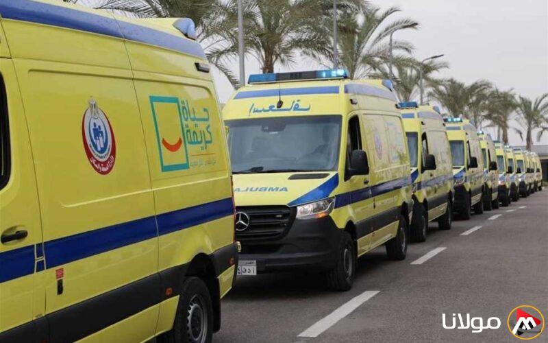 6 مصابين في تصادم بحادث بمحافظة البحيرة، بينهم 4 مسؤولين من برشيد