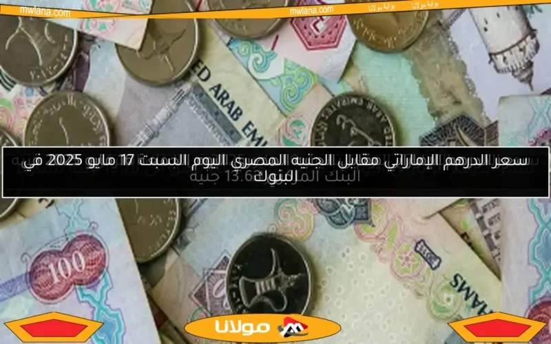 سعر الدرهم الإماراتي مقابل الجنيه المصري اليوم الجمعة 16 مايو 2025 في البنك المركزي 13.63 جنيه