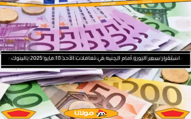 سعر اليورو يتراجع اليوم الأحد 11 مايو 2025 مقابل الجنيه في البنوك المصرية