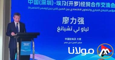 السفير الصيني: العلاقات الاقتصادية بين بكين والقاهرة تمر بـ “فترة ذهبية”
