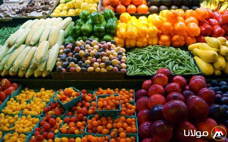 تجاوزت 2.7 مليون طن خلال 3 أشهر… قفزة تاريخية في صادرات الزراعة المصرية (فيديو)