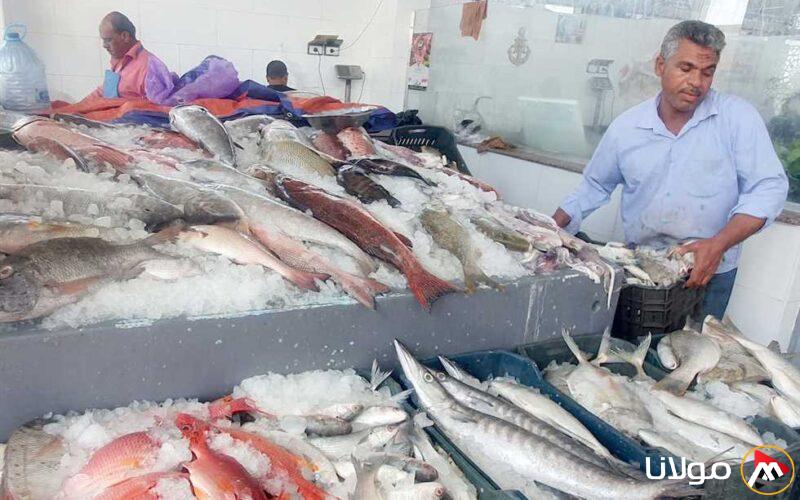 اليوم.. انطلاق فترة تعليق الصيد في البحر الأحمر لمدة 3 أشهر.. وصيادون يدعون لتأجيل التنفيذ.