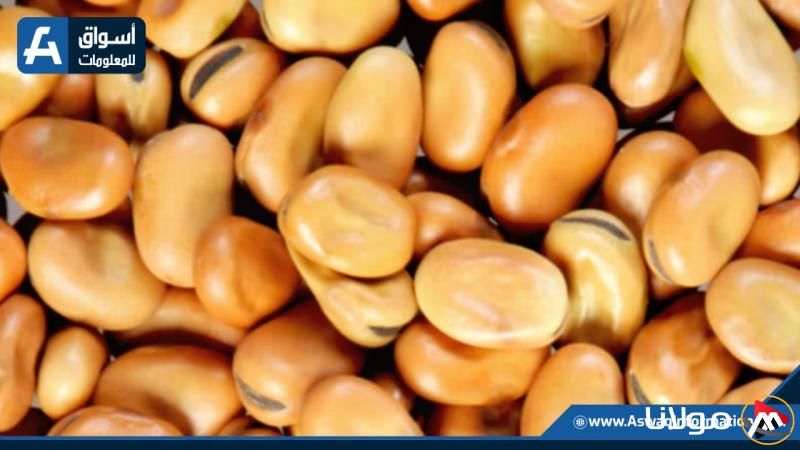 سعر الفول عند التجار اليوم الإثنين: كم بلغ اليوم؟