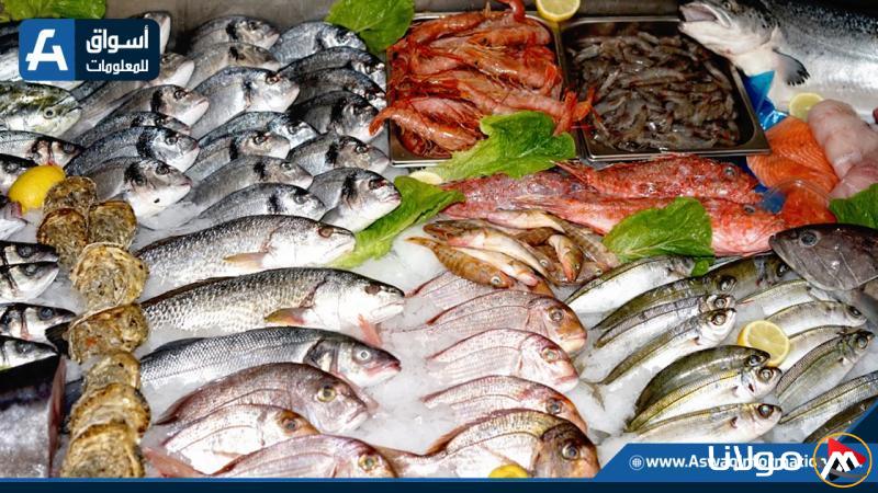 زيادة أسعار السبيط: أسعار الأسماك اليوم الأحد في سوق العبور