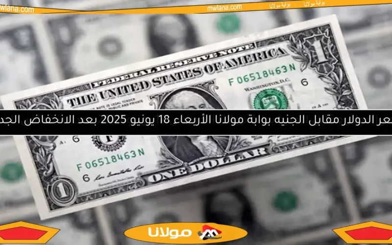 سعر الدولار مقابل الجنيه بوابة مولانا الأحد 27 أبريل 2025 بعد انخفاضه في 6 بنوك