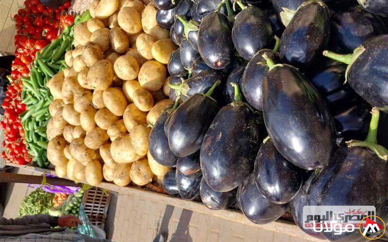 أسعار الخضروات والفواكه في أسواق دمياط: الليمون بسعر 140 جنيهًا