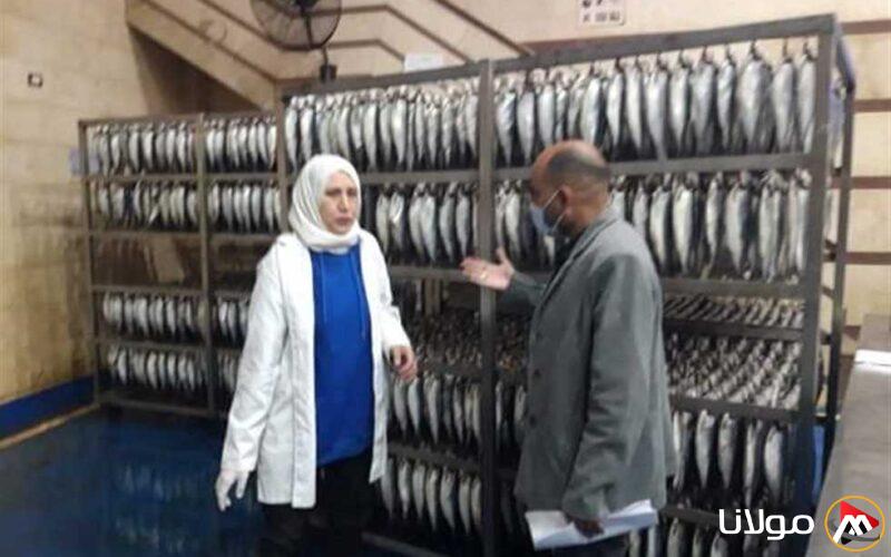 قبل شم النسيم.. ضبط 30 كيلو من الأسماك المملحة غير صالحة للاستخدام في الأقصر