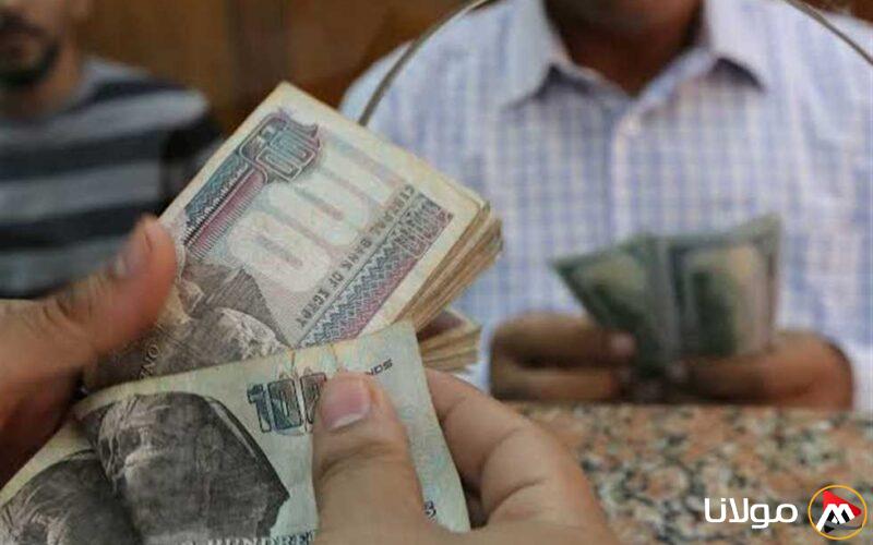 بشكل رسمي.. كيفية التقديم للحصول على منحة العمالة غير المنتظمة لعام 2025 والفئات المؤهلة.