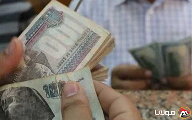 تاريخ صرف رواتب المعلمين في أبريل 2025.. التفاصيل وجدول الأجور