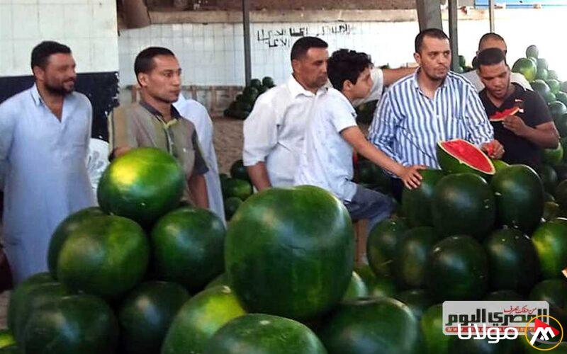 بعد ارتفاع سعر البطيخ إلى 250 جنيهًا.. «الغرفة التجارية» في الإسكندرية: «ثمنه مبالغ فيه، لا تشتروا»