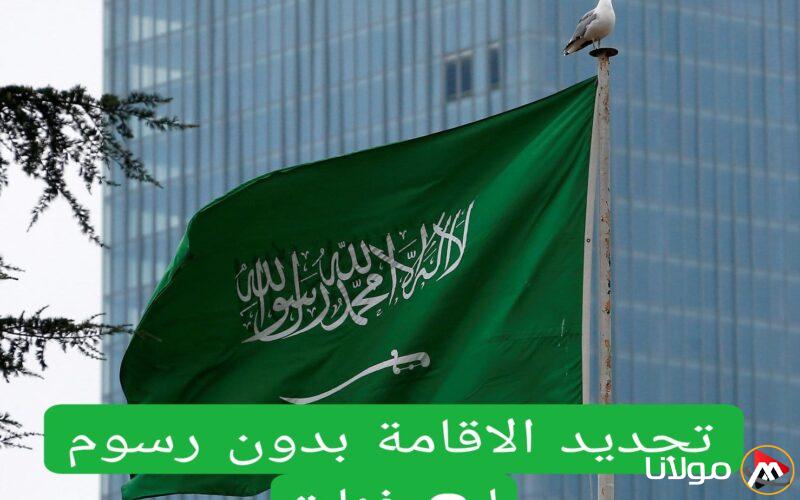 “الداخلية السعودية تعلن رسميًا عن تجديد الإقامة مجانًا لست فئات من المغتربين.. هل تندرج ضمنهم؟”