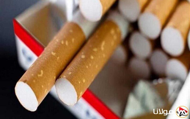 أسعار السجائر الحالية في الأسواق اليوم