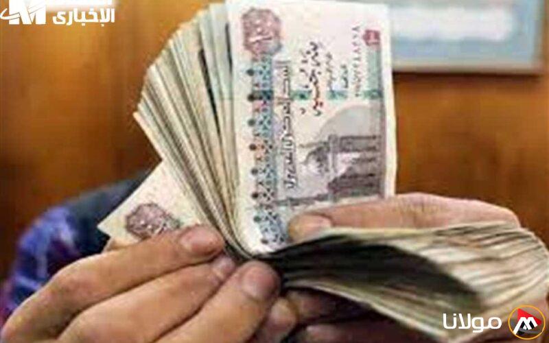 فرصة مميزة للعمالة غير المنتظمة.. كيف تسجل للحصول على دعم شهري ثابت بقيمة 1000 جنيه من الحكومة؟