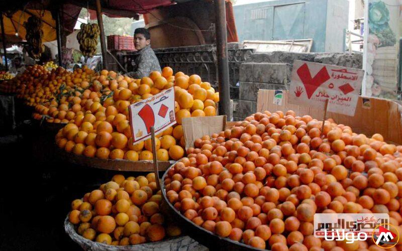 أسواق مطروح تشهد توازنًا في أسعار الفواكه اليوم الخميس 17 أبريل 2025