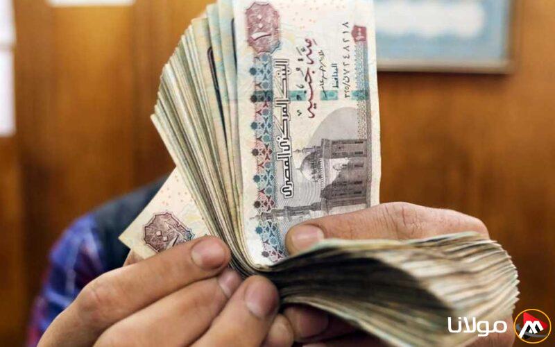 مواعيد صرف معاشات مايو 2025 للمعلمين مع تفاصيل الزيادات الجديدة وجدول الأجور